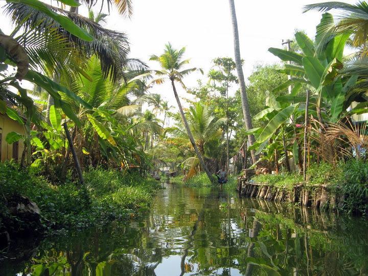 Alapatt Homestay Alappuzha المظهر الخارجي الصورة